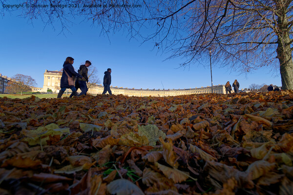 Autumn leaves at the Royal Crescent Bath Picture Board by Duncan Savidge