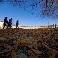 Buy canvas prints of Autumn leaves at the Royal Crescent Bath by Duncan Savidge