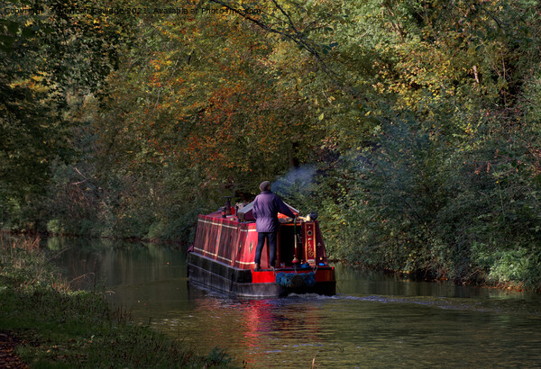 Autumn sun canal boat Picture Board by Duncan Savidge