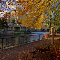 Buy canvas prints of under the golden trees in Bath by Duncan Savidge