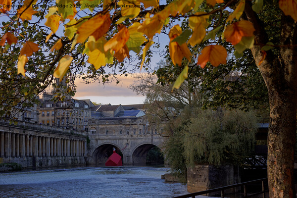 Pulteney Bridge and weir Autumn with sinking houses Picture Board by Duncan Savidge