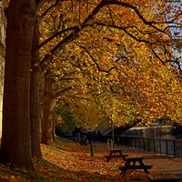 Buy canvas prints of benches by the River Avon Bath by Duncan Savidge