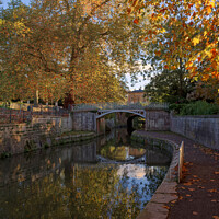 Buy canvas prints of Golden Canal Sydey Gardens by Duncan Savidge