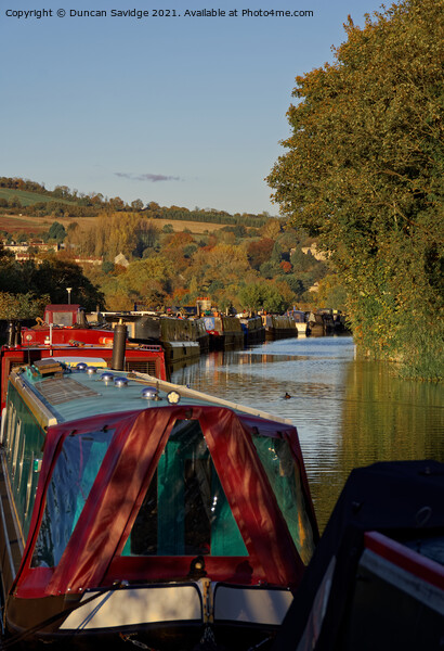 Kennet and Avon autumn canal Picture Board by Duncan Savidge