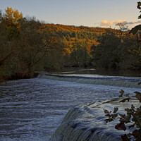 Buy canvas prints of Autumn at Warleigh Weir golden hour by Duncan Savidge