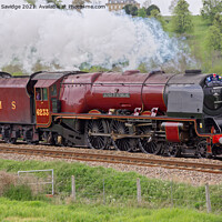 Buy canvas prints of The Duchess of Sutherland 6233 steam train by Duncan Savidge