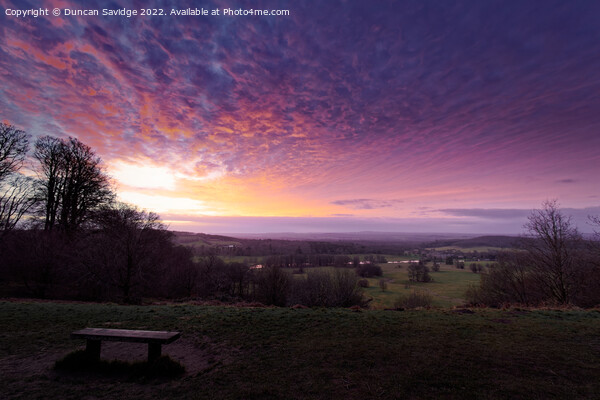 Sunset over Longleat Picture Board by Duncan Savidge