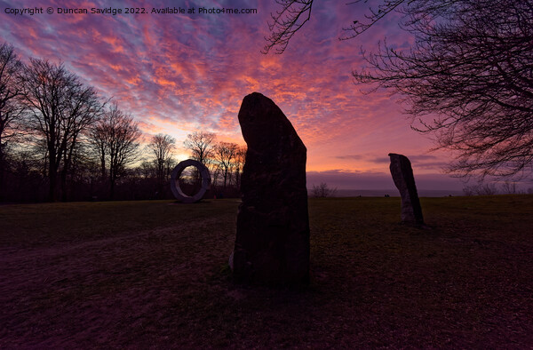 Sunset at Heaven's Gate Longleat sculptures  Picture Board by Duncan Savidge