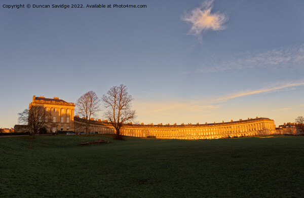 Royal Crescent Bath bathed in honey coloured golden winter sun Picture Board by Duncan Savidge