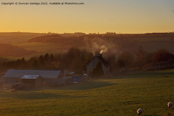 Winter Farm sunset Picture Board by Duncan Savidge