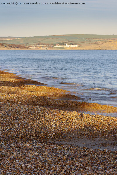 Weymouth Pebble Beach Picture Board by Duncan Savidge