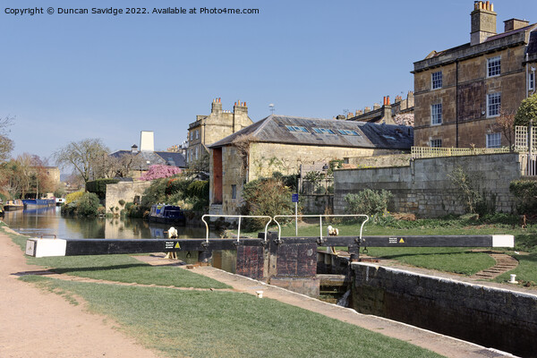 Widcombe Lock, Bath, in Spring sunshine Picture Board by Duncan Savidge