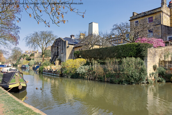 Kennet and Avon Canal, Bath, in the Spring sunshine Picture Board by Duncan Savidge