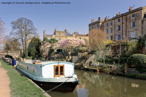 Spring along the Kennet and Avon canal in Bath Picture Board by Duncan Savidge