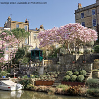 Buy canvas prints of Cherry Blossom along the canal in Bath by Duncan Savidge
