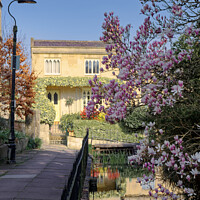 Buy canvas prints of Prior Park Cottages Bath in Spring by Duncan Savidge