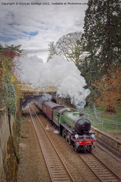 61306 'Mayflower' blasting through Sydney Gardens on Steam Dreams Excursion to Bath from London Victoria on 5th April 2022 Picture Board by Duncan Savidge