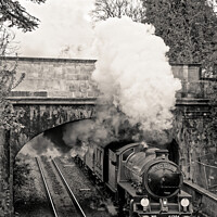 Buy canvas prints of 61306 'Mayflower' blasts into Sydney Gardens on Steam Dreams Excursion to Bath from London Victoria on 5th April 2022 (expresso black and white mono version) by Duncan Savidge