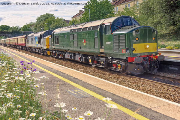 Rare class 37 diesel trains through Oldfield Park Bath Picture Board by Duncan Savidge