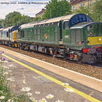 Buy canvas prints of Rare class 37 diesel trains through Oldfield Park Bath by Duncan Savidge