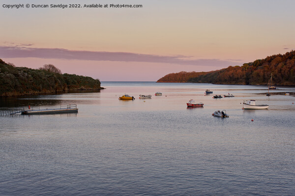 Helford Passage, Cornwall sunset Picture Board by Duncan Savidge