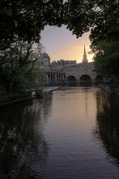 Fabulous Pulteney Bridge in Bath at sunset  Picture Board by Duncan Savidge