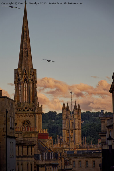 Summer evenings in Bath Picture Board by Duncan Savidge