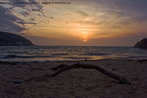Cornish sunrise Picture Board by Duncan Savidge