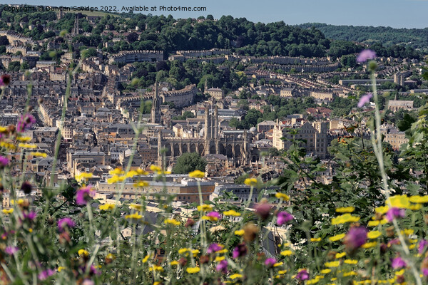 Floral Bath City View Picture Board by Duncan Savidge