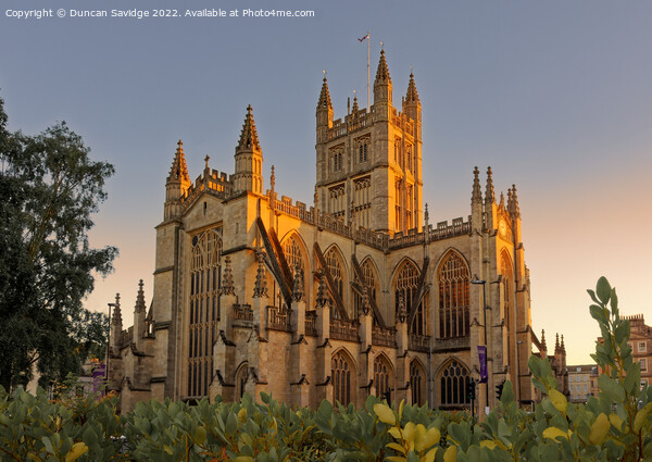 Bath Abbey Golden hour glow Picture Board by Duncan Savidge