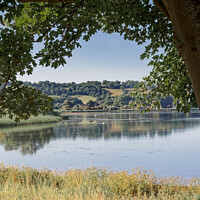 Buy canvas prints of Chew Valley Lake framed in the summer by Duncan Savidge