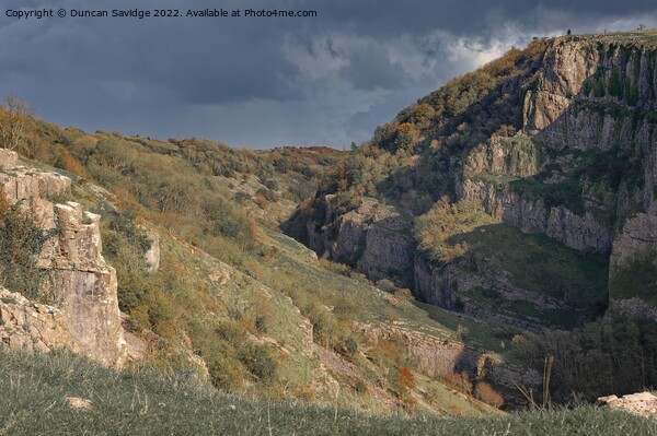 Moody Cheddar Gorge Picture Board by Duncan Savidge