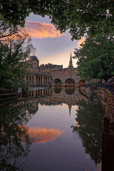 Pink Clouds reflected in the River Avon at Pulteney Bridge Bath Picture Board by Duncan Savidge