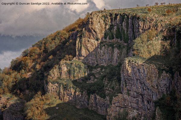 Cheddar Gorge Close up Picture Board by Duncan Savidge