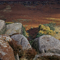 Buy canvas prints of Autumn in the Peak District  portrait  by Duncan Savidge