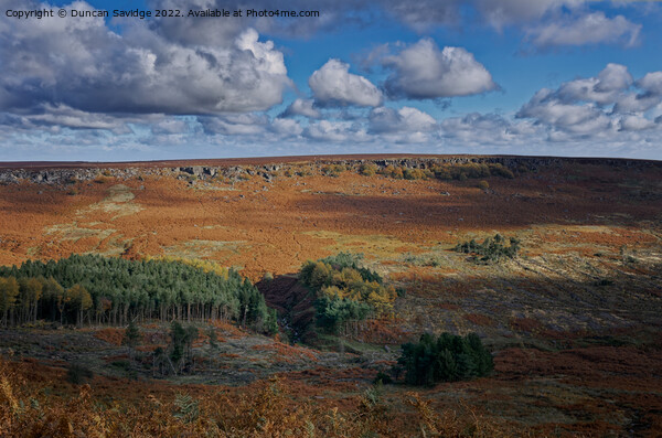 Autumn in the Peak District  Picture Board by Duncan Savidge