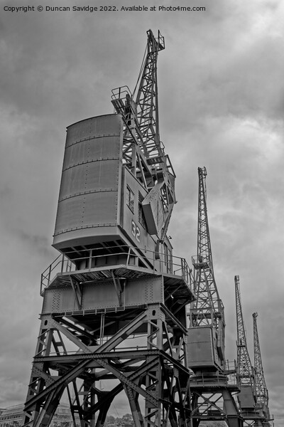 Bristol docks cranes HDR black and white Picture Board by Duncan Savidge