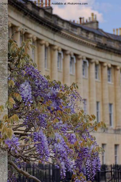 Abstract of the Royal Crescent Batb Picture Board by Duncan Savidge