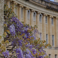 Buy canvas prints of Abstract of the Royal Crescent Batb by Duncan Savidge