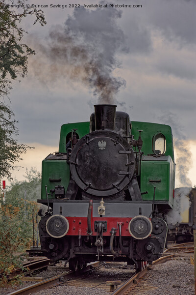  4015 Karels steam train at Avon Valley Railway Picture Board by Duncan Savidge