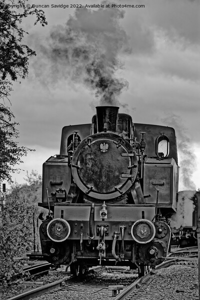  4015 Karels steam train at Avon Valley Railway black and white Picture Board by Duncan Savidge