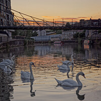 Buy canvas prints of Swans at sunset along the River Avon Bath by Duncan Savidge