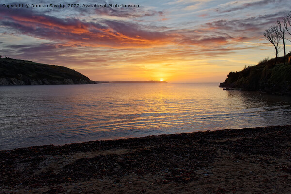 A sunrise from Maenporth beach Picture Board by Duncan Savidge