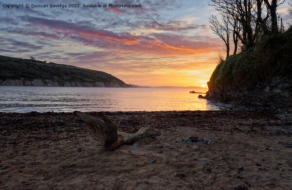 Driftwood sunrise at Maenporth Picture Board by Duncan Savidge
