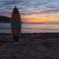 Buy canvas prints of Maenporth beach paddleboard sunrise  by Duncan Savidge
