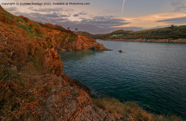 Looking back to Maenporth sunset light Picture Board by Duncan Savidge