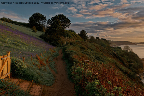 Southwest Coast Path at sunrise  Picture Board by Duncan Savidge