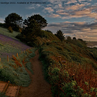 Buy canvas prints of Southwest Coast Path at sunrise  by Duncan Savidge