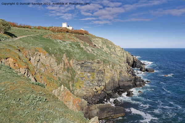 The Lizard point late spring afternoon  Picture Board by Duncan Savidge