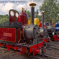 Buy canvas prints of Moors Valley Railway collection of narrow gauge locomotives by Duncan Savidge